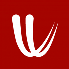 Windy.com logo