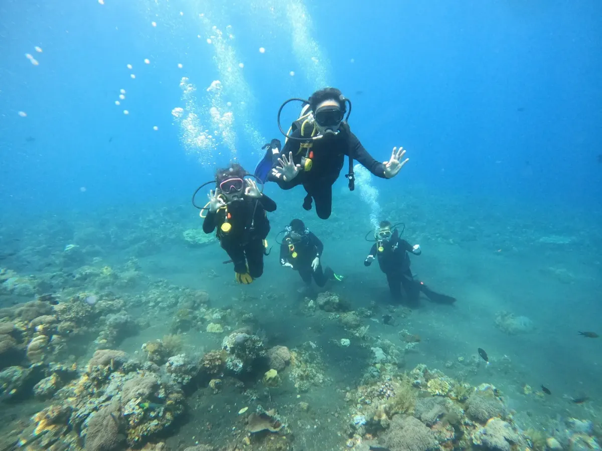 A group of divers above a reef